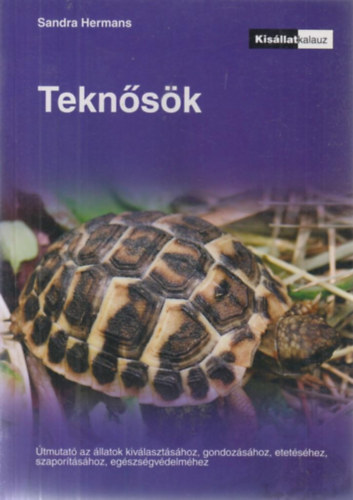 Sandra Hermans - Teknsk