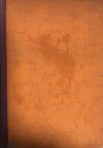 Bhm Vilmos - Kt forradalom tzben