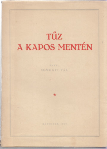 Somogyi Pál - Tűz a Kapos mentén