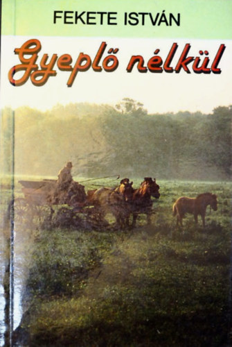 Fekete Istvn, Vber Kroly (szerk.) - Gyepl nlkl (Nesztor kiadvny)