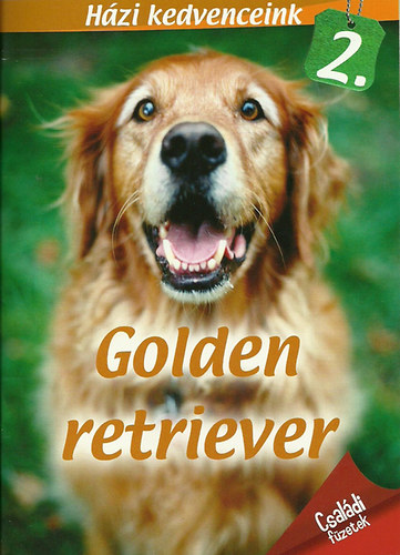 Golden retriver - Hzi kedvenceink 2.