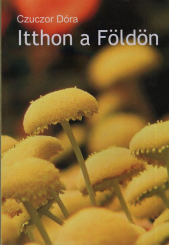 Czuczor D�ra - Itthon a F�ld�n