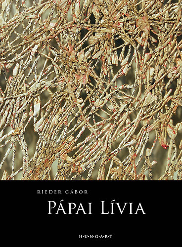 Rieder Gbor - Ppai Lvia