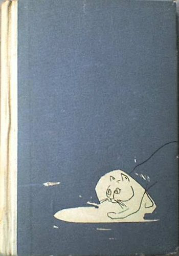 Remenyik Zsigmond - Pernambucói éjszaka