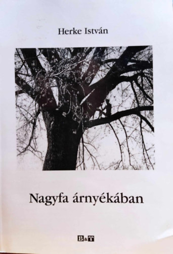 Herke Istv�n - Nagyfa �rny�k�ban