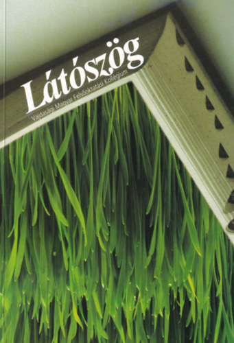 Látószög