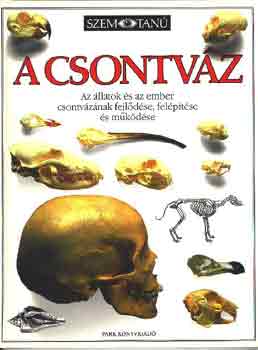 Steve Parker - A csontvz (Szemtan)