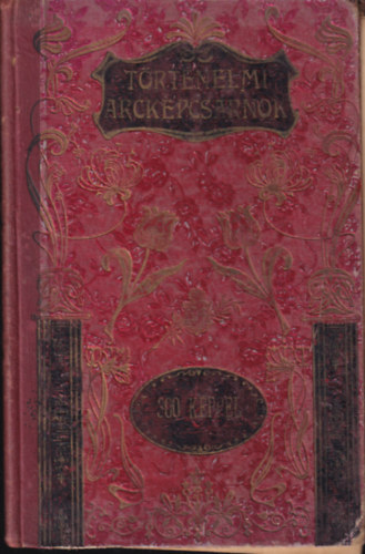 Dolinay Gyula - T�rt�nelmi arck�pcsarnok az ifj�s�g �s a n�p sz�m�ra 300 k�ppel