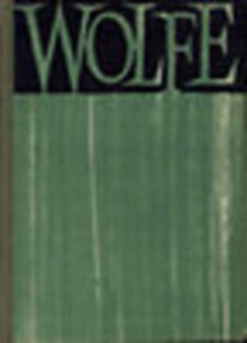Thomas Wolfe - Nzz vissza, angyal (Az eltemetett let trtnete)