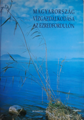 VITUKI - Magyarorszg Vzgazdlkodsa az Ezredforduln