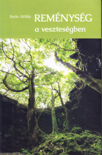 Sos Attila - Remnysg a vesztesgben