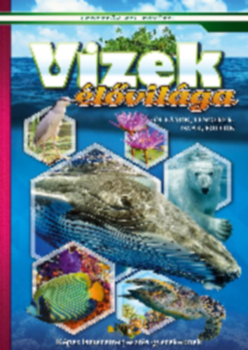 Vizek élővilága - Óceánok, tengerek, folyók, tavak - Képes ismeretterjesztés gyerekeknek