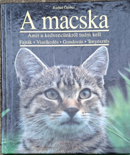 Barbel Gerber - Macska
