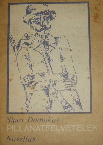 Sipos Domokos - Pillanatfelvtelek