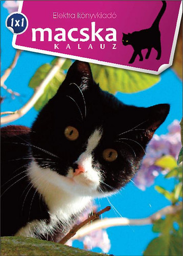 Macska kalauz