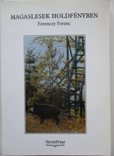 Ferenczy Ferenc - Magaslesek holdfényben