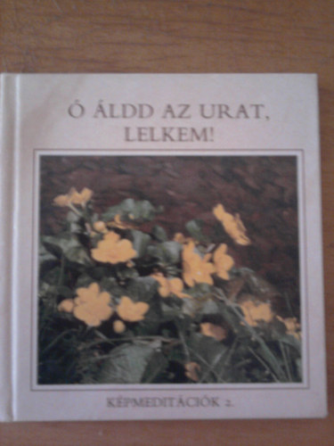  ldd az Urat, lelkem! - Zsoltrimdsgok (Kpmeditcik 2.)