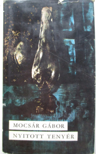 Mocs�r G�bor - Nyitott teny�r