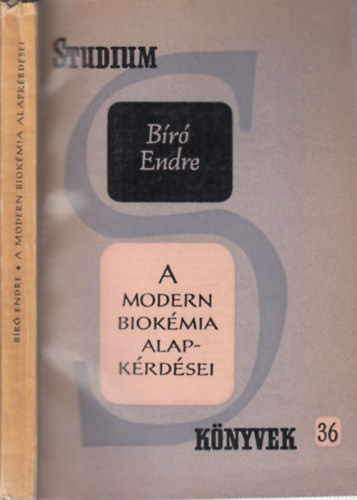 Br Endre - A modern biokmia alapkrdsei (Stdium knyvek)