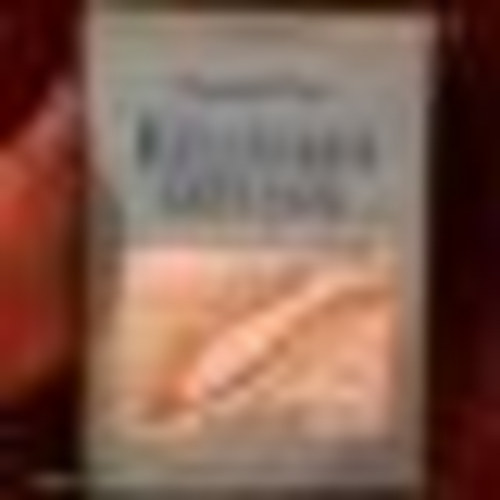 Vasadi Péter - Különben szétesik ... Esszék 1996