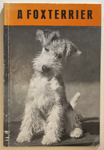 Puy-Udvardy - A foxterrier