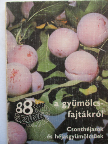 Faluba-Harsnyi-Bdecs-... - 88 sznes oldal a gymlcsfajtkrl (Csonthjasok s hjasgymlcsek)
