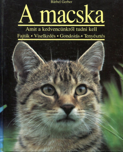 Barbel Gerber - A macska - Amit kedvencnkrl tudni kell: Fajtk, viselkeds, gondozs, tenyszts