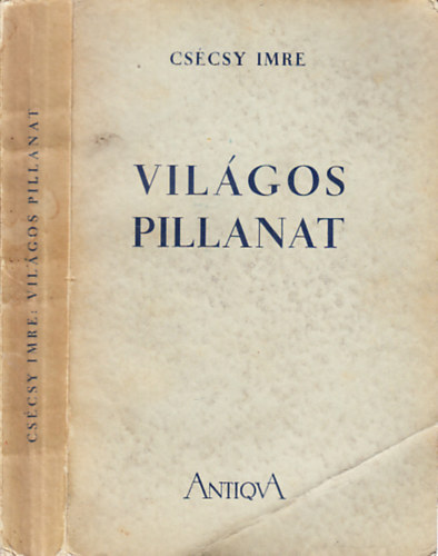 CScsy Imre - Vilgos pillanat