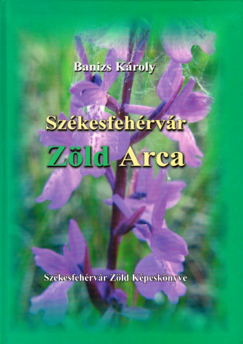 Banizs Kroly - Szkesfehrvr zld arca