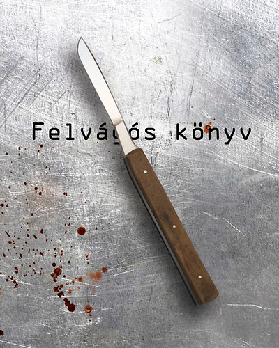 Erds Attila - Felvgs knyv