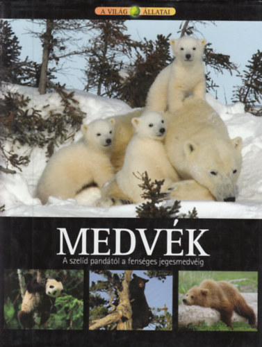 Christina Curwen, Kim Bryan, Ben Hoare, Rob Huston - Medvk - A szeld pandtl a fensges jegesmedvig