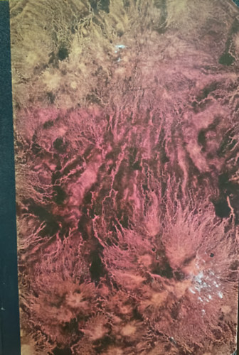 Benedek Marcell - A francia regény a XIX. században