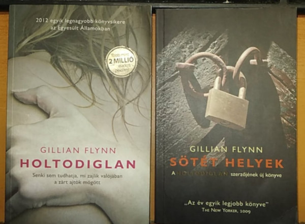 Gillian Flynn - Holtodiglan + Sötét helyek (2 kötet)
