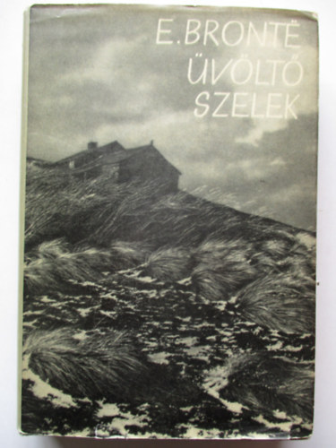 Emily Bronte - vlt szelek