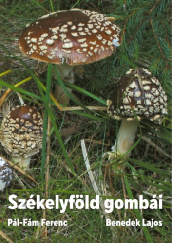 P�l-F�m Ferenc, Benedek Lajos - Sz�kelyf�ld gomb�i