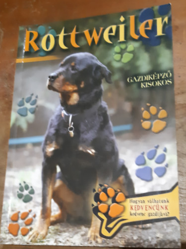 Rottweiler - Gazdikpz kisokos