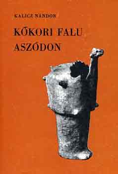 Kalicz Nándor - Kőkori falu Aszódon