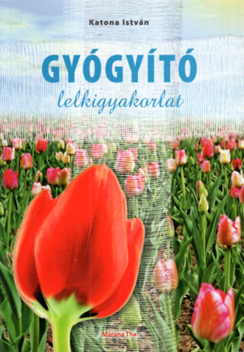 Katona Istvn - Gygyt lelkigyakorlat