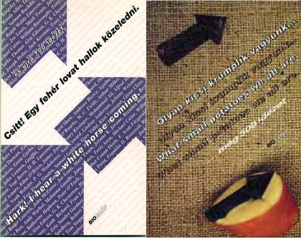 Zalotay-Salamon (szerk.) - Csitt! Egy feh�r lovat hallok k�zeledni - Hark! I hear a white horse coming + Olyan kicsi krumplik vagyunk...m�g 500 id�zet ( 2 k�tet )