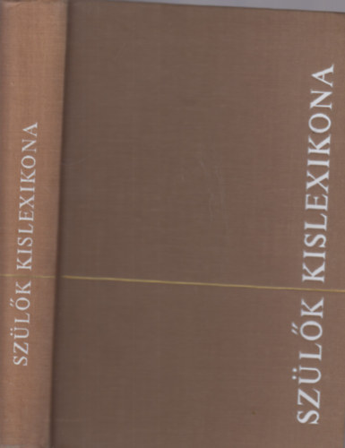 Kossuth Könyvkiadó - Szülők kislexikona