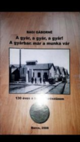 Bagi Gborn - A gyr, a gyr, a gyr! A gyrban: mr munka vr - 130 ves a barcsi frszzem