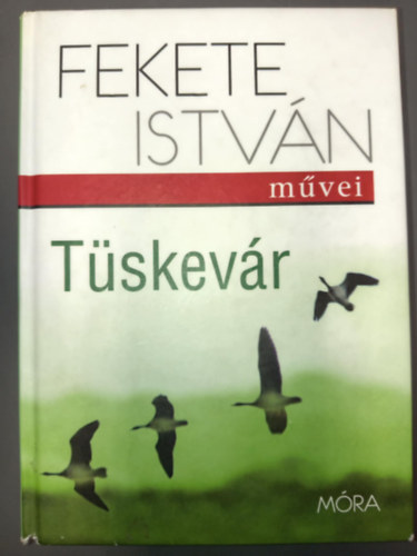 Fekete Istvn, Szerk.: Dka Pter, Budai Tibor (illusztrcik) - Tskevr - Budai Tibor illusztrciival (Fekete Istvn mvei)