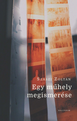 Sz�szi Zolt�n - Egy m�hely megismer�se