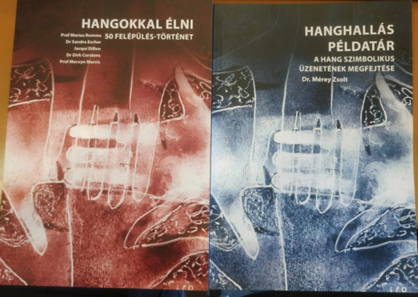 Prof Marius Romme, Dr. Sandra Escher, Jacqui Dillon, Dr. Dirk Corstens, Prof Mervyn Morris, Mérey Zsolt - 2 db Hangokkal élni (50 felépülés-történet) + Hanghallás példatár (A hang szimbolikus üzenetének megfejtése)