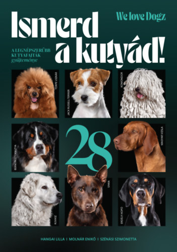 Hangai Lilla, Moln�r Enik�, Sz�n�si Szimonetta - Ismerd a kuty�d!