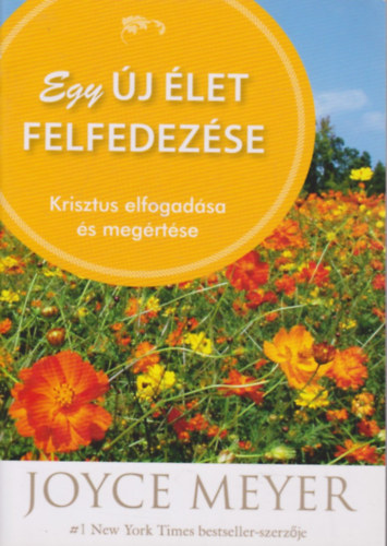 Joyce Meyer - Egy j let felfedezse - Krisztus elfogadsa s megrtse