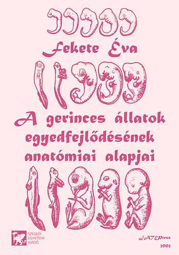 Fekete va - A gerinces llatok egyedfejldsnek anatmiai alapjai