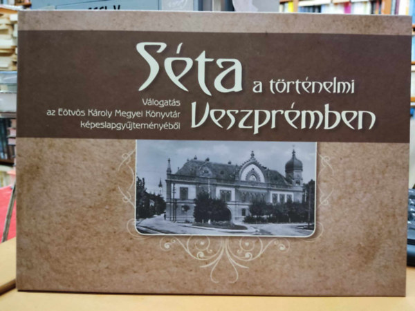 Faa Judit, Szab�n� V�r�s Gy�rgyi - S�ta a t�rt�nelmi Veszpr�mben