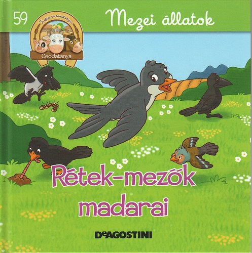 Rétek-mezők madarai (Csodatanya 59.)