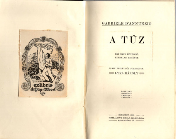 Gabriele D' Annunzio, Lyka Kroly (szerk.) - A tz - Egy nagy mvszn szerelmi regnye (1900)